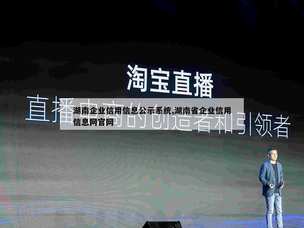 湖南企业信用信息公示系统,湖南省企业信用信息网官网